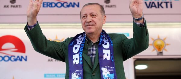 Cumhurbaşkanı Recep Tayyip Erdoğan - Sputnik Türkiye