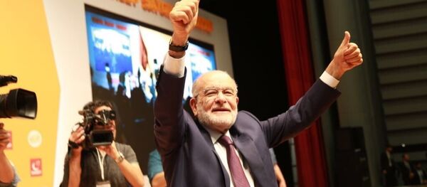 Temel Karamollaoğlu - Sputnik Türkiye