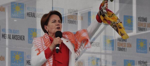 Meral Akşener Meral Akşener - Sputnik Türkiye