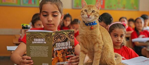 Tombi - Sputnik Türkiye