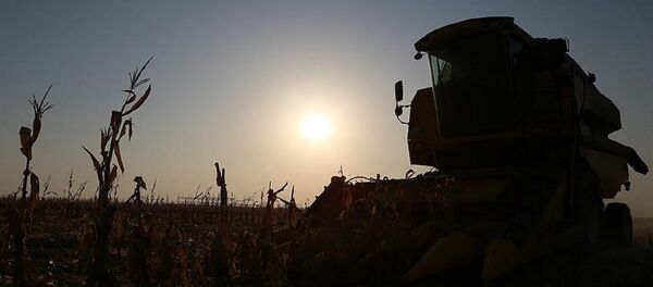 Tarla, işçi, tarım - Sputnik Türkiye