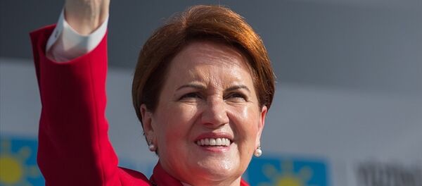 Meral Akşener - Sputnik Türkiye