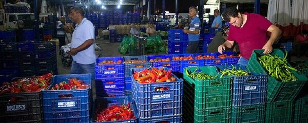 Meyve, sebze - Sputnik Türkiye