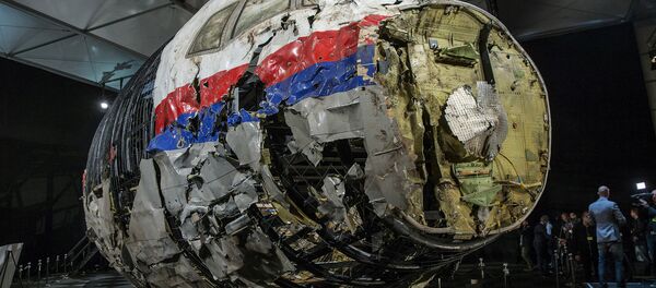 MH17 uçağının yeniden birleştirilen enkazı - Sputnik Türkiye