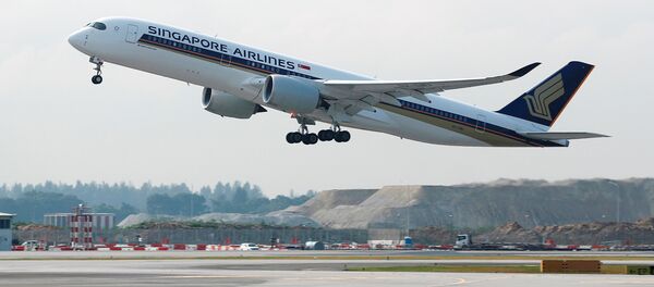 Singapur Havayolları - Sputnik Türkiye