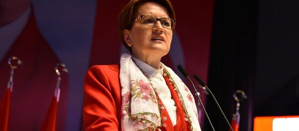 Meral Akşener - Sputnik Türkiye
