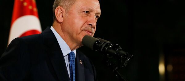 Cumhurbaşkanı Recep Tayyip Erdoğan - Sputnik Türkiye
