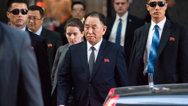 Kuzey Kore İşçi Partisi Merkez Komitesi Başkan Yardımcısı Kim Yong Chol, New York'ta - Sputnik Türkiye