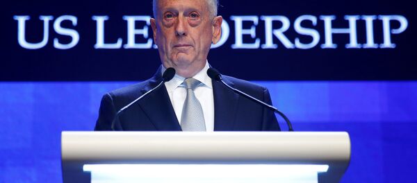 ABD Savunma Bakanı Jim Mattis - Sputnik Türkiye