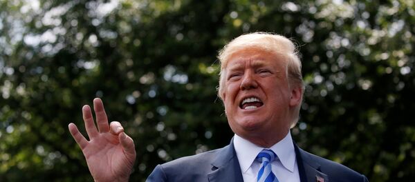 ABD Başkanı Donald Trump - Sputnik Türkiye