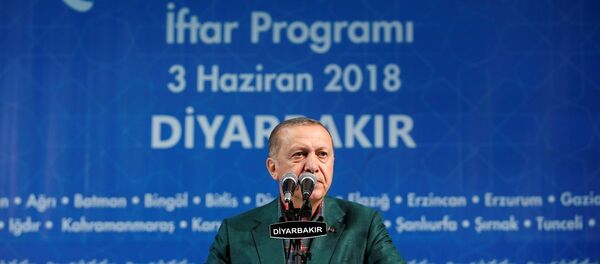 Cumhurbaşkanı Recep Tayyip Erdoğan - Sputnik Türkiye
