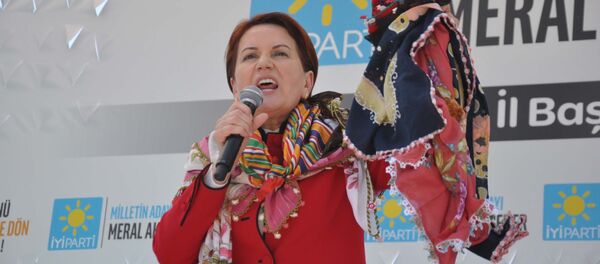 Meral Akşener - Sputnik Türkiye