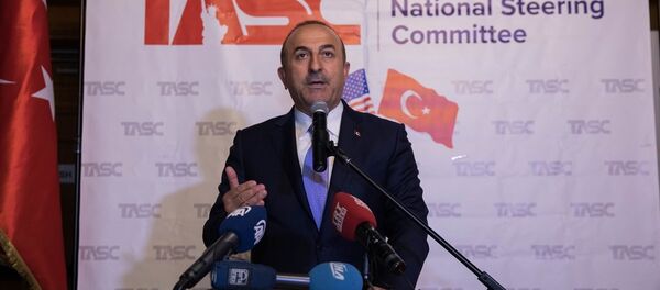 Dışişleri Bakanı Mevlüt Çavuşoğlu - Sputnik Türkiye