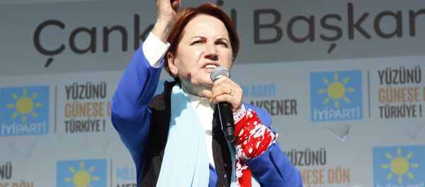 İYİ Parti Genel Başkanı Meral Akşener - Sputnik Türkiye