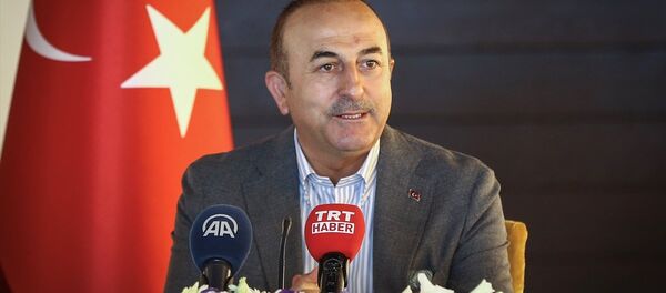 Mevlüt Çavuşoğlu - Sputnik Türkiye