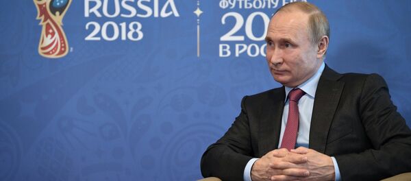 Rusya Devlet Başkanı Vladimir Putin - Sputnik Türkiye