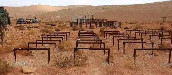 Hama'da IŞİD'e ait çocuk eğitim kampı bulundu - Sputnik Türkiye