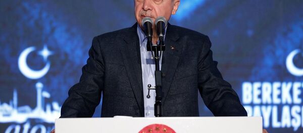 Cumhurbaşkanı Recep Tayyip Erdoğan - Sputnik Türkiye