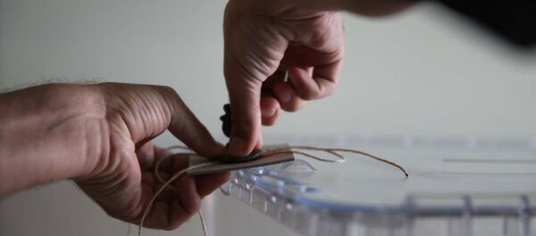 24 Haziran, seçim, sandık - Sputnik Türkiye