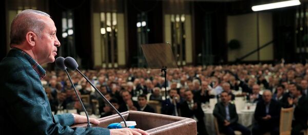 Cumhurbaşkanı Recep Tayyip Erdoğan - Sputnik Türkiye