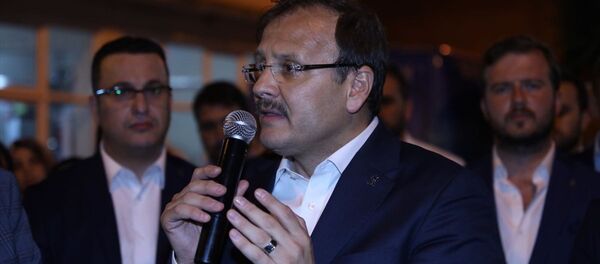 Başbakan Yardımcısı Hakan Çavuşoğlu - Sputnik Türkiye