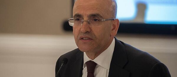Mehmet Şimşek - Sputnik Türkiye