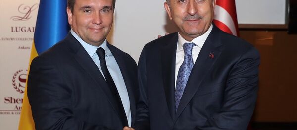 Mevlüt Çavuşoğlu - Pavlo Klimkin - Sputnik Türkiye