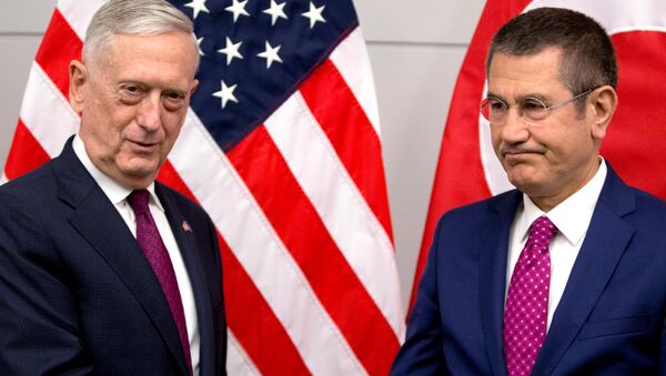 Savunma Bakanı Nuretttin Canikli- ABD Savunma Bakanı James Mattis - Sputnik Türkiye