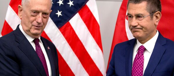 Savunma Bakanı Nuretttin Canikli- ABD Savunma Bakanı James Mattis - Sputnik Türkiye