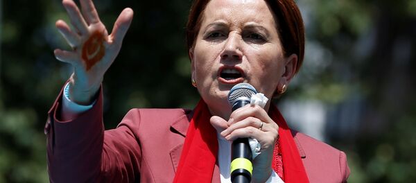 Meral Akşener - Sputnik Türkiye