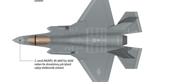 İnfografik - Sputnik Türkiye