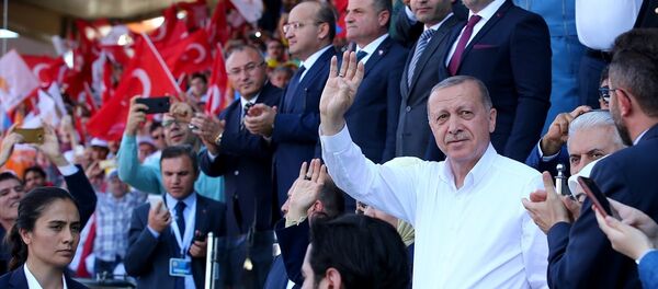 Cumhurbaşkanı Recep Tayyip Erdoğan - Sputnik Türkiye