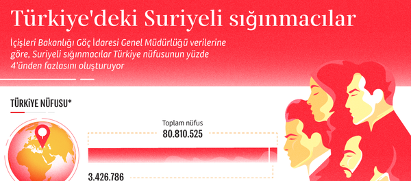 İnfografik - Sputnik Türkiye