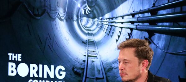 Elon Musk, Boring Company, Los Angeles, Kaliforniya - Sputnik Türkiye