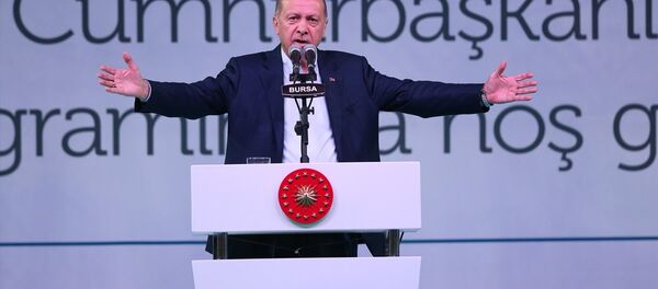 Cumhurbaşkanı Recep Tayyip Erdoğan - Sputnik Türkiye