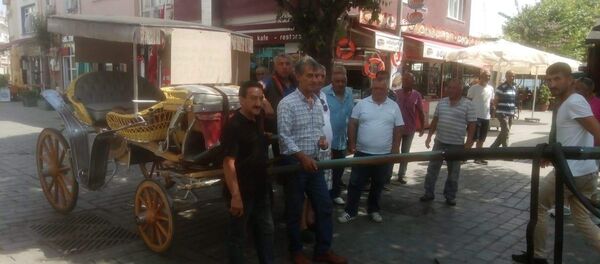 Büyükada'da faytonculardan protesto: 'Atsız olmaz' - Sputnik Türkiye
