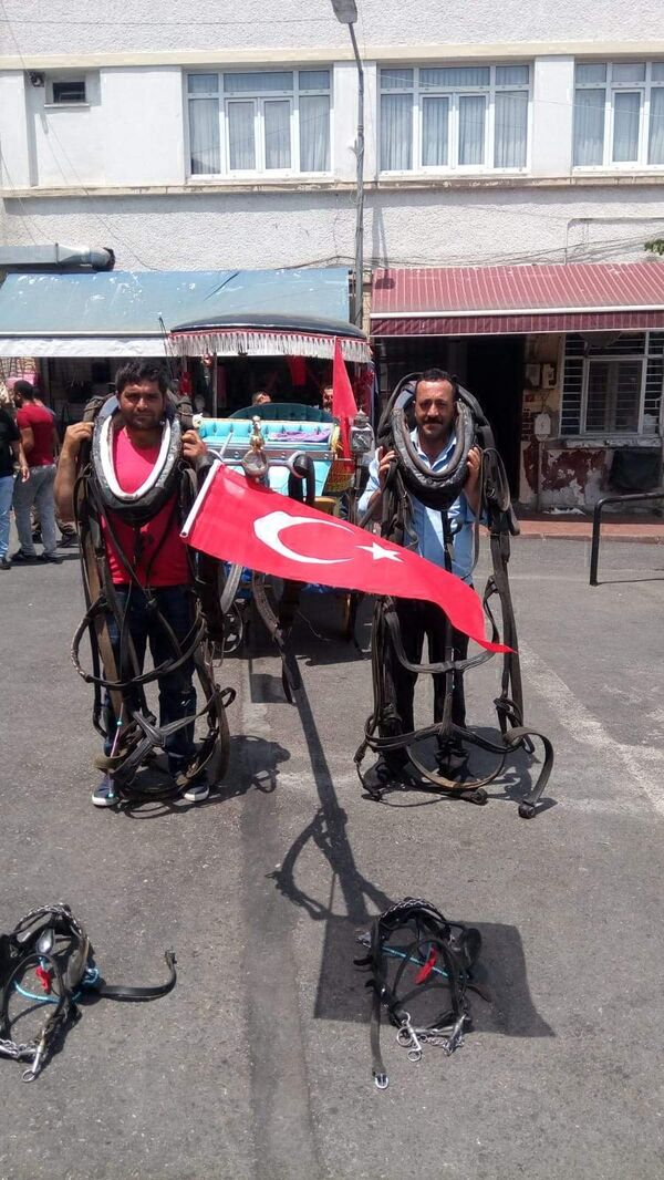 Büyükada'da faytonculardan protesto: 'Atsız olmaz' - Sputnik Türkiye