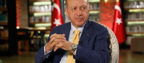 Cumhurbaşkanı Recep Tayyip Erdoğan - Sputnik Türkiye
