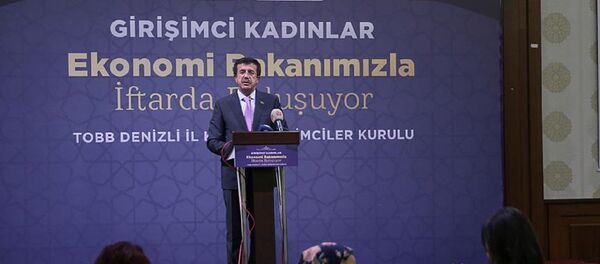 Ekonomi Bakanı Nihat Zeybekci - Sputnik Türkiye