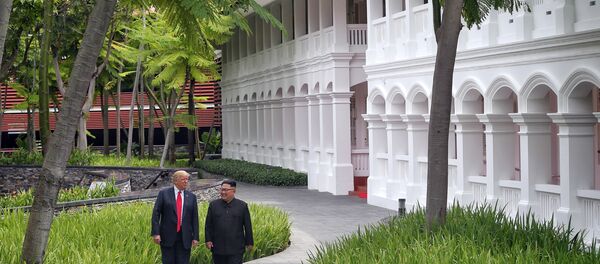ABD Başkanı Donald Trump- Kuzey Kore lideri Kim Jong-un - Sputnik Türkiye