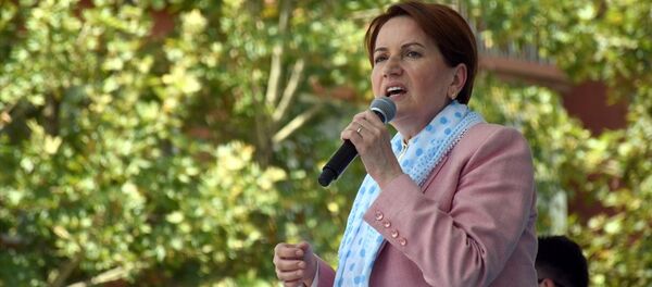 Meral Akşener - Sputnik Türkiye