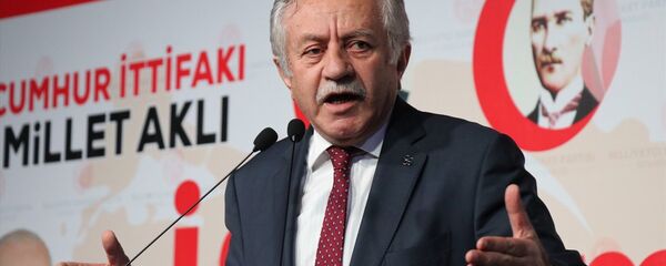 Milliyetçi Hareketçi Partisi Genel Başkan Yardımcısı Celal Adan - Sputnik Türkiye