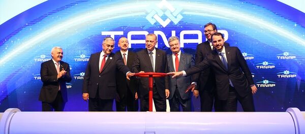 TANAP'ta ilk gaz akışı Erdoğan, Aliyev, Akıncı, Vucic ve Poroşenko'nun katılımıyla gerçekleşti - Sputnik Türkiye