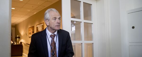 Beyaz Saray Ulusal Ticaret Konseyi Direktörü Peter Navarro - Sputnik Türkiye