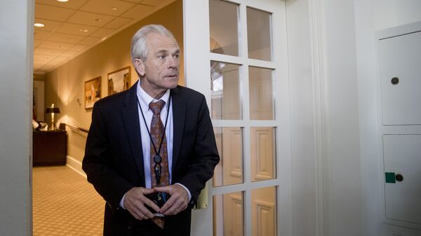 Beyaz Saray Ulusal Ticaret Konseyi Direktörü Peter Navarro - Sputnik Türkiye