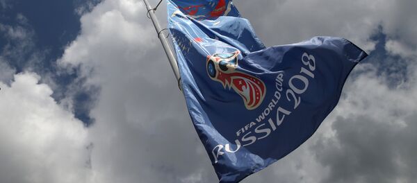 2018 FIFA Dünya Kupası - Sputnik Türkiye