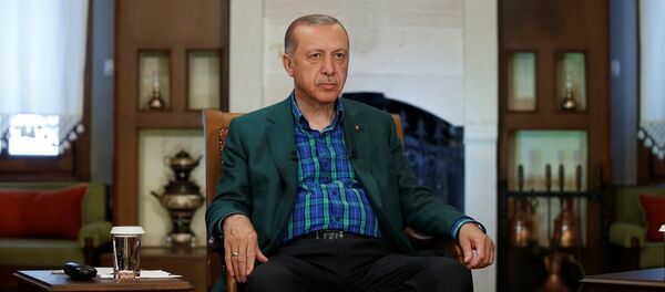 Cumhurbaşkanı Recep Tayyip Erdoğan - Sputnik Türkiye
