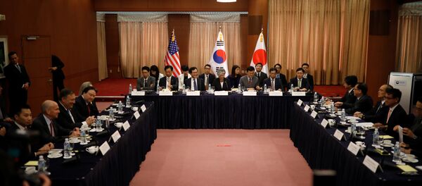 ABD- Güney Kore- Japonya - Sputnik Türkiye