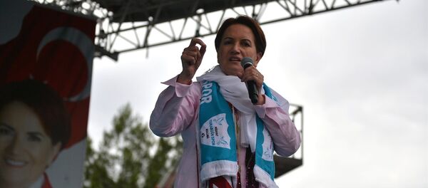 Meral Akşener - Sputnik Türkiye