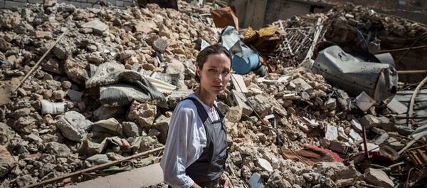 Oscar ödüllü oyuncu ve Birleşmiş Milletler Mülteciler Yüksek Komiserliği (BMMYK) İyi Niyet Elçisi Angelina Jolie - Sputnik Türkiye